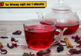 jus de bissap - topafro