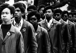 Black Panthers