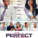 Affiche film The Perfect Match